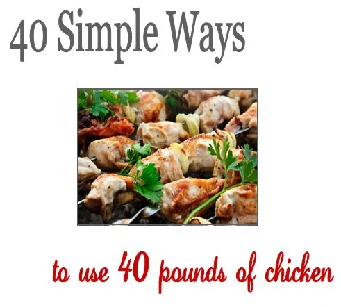 New “40 Simple Ways to Use 40 Pounds of Chicken” E-Book – Preparation, Freezer Meal Recipes & more