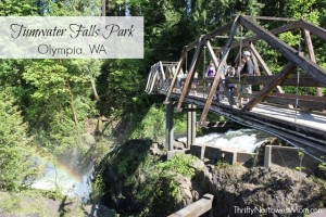 Family Outings in the Northwest - Tumwater Falls Park Review