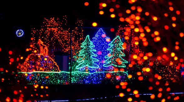 Discounted Tickets for Zoolights at Point Defiance Zoo