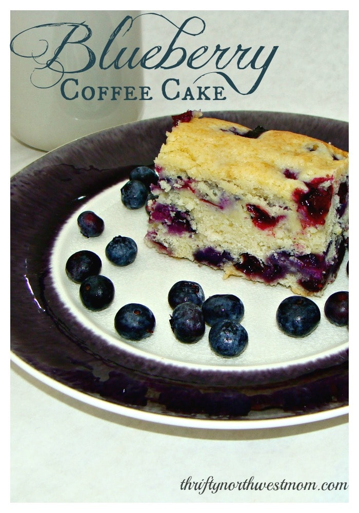 Blueberry Coffee Cake Recipe - Thrifty NW Mom