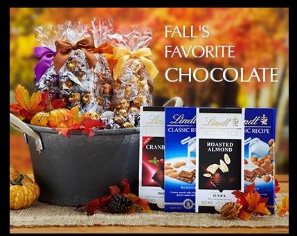 FREE Lindt Chocolate Bar After Coupon!