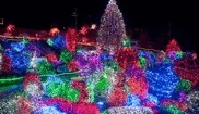 discounted zoolights tickets