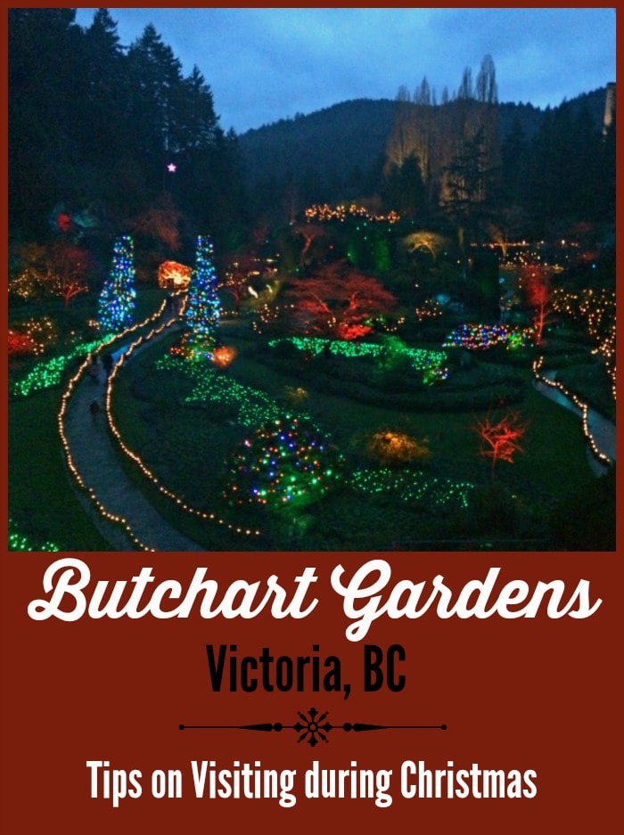Butchart Gardens in Victoria, BC at Christmas!