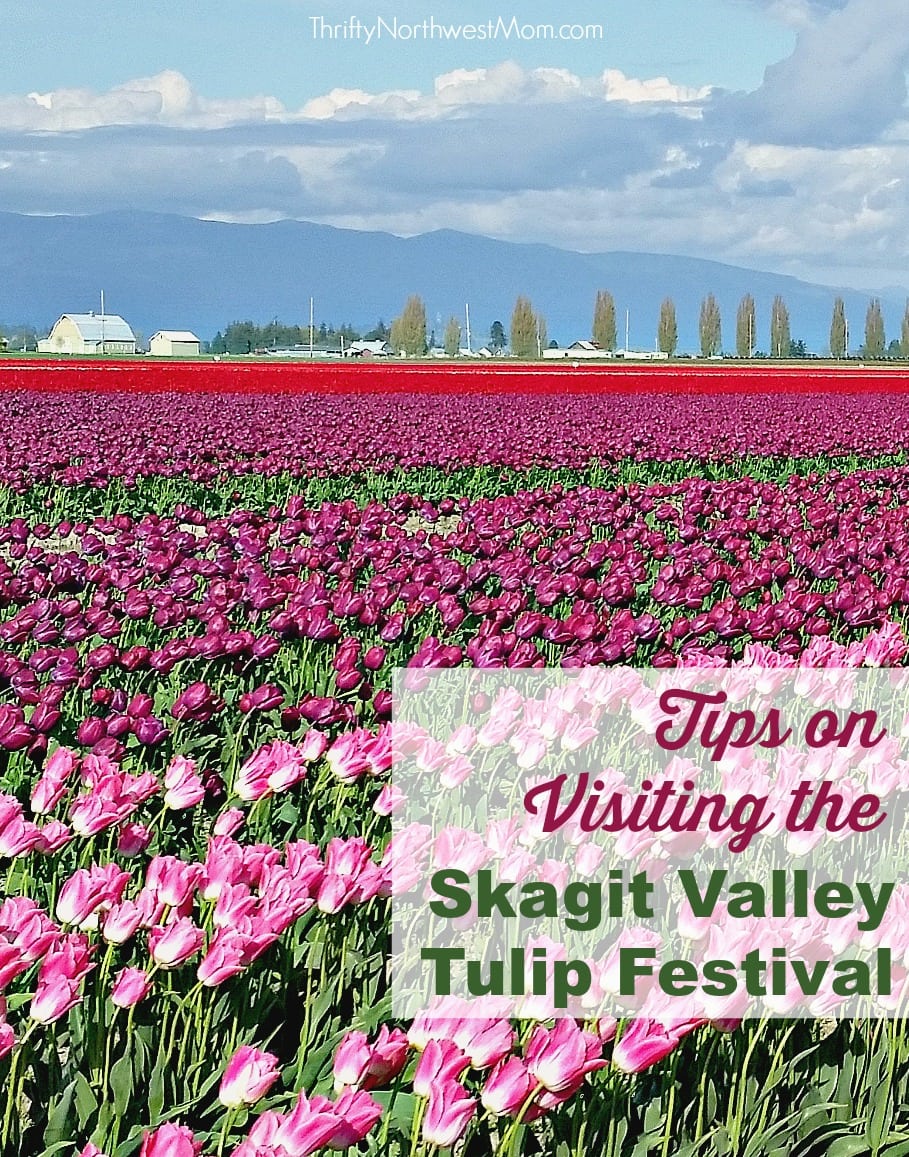 Dicas e Lugares a Visitar no Festival Skagit Valley Tulip! Simbolo Reiki