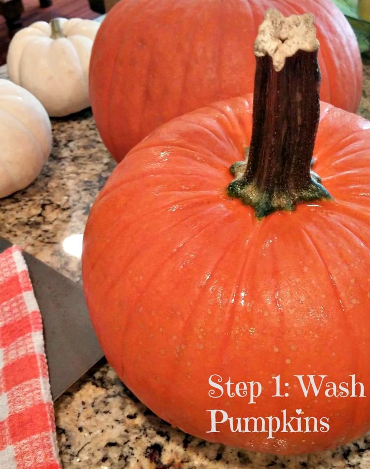 How to Make Pumpkin Puree from Scratch in 5 Easy Steps! - Thrifty NW Mom