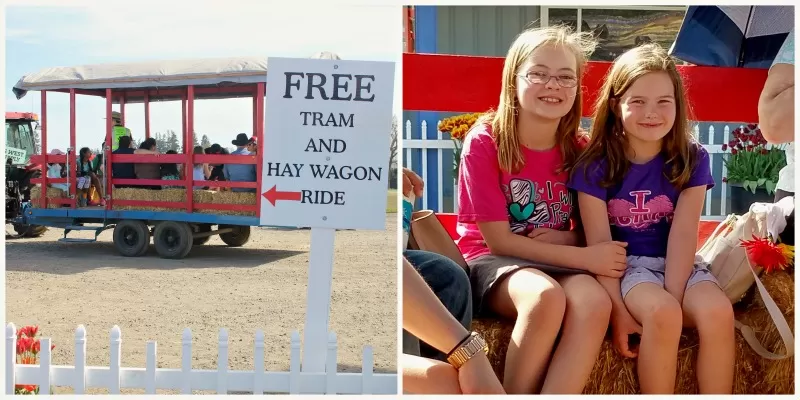 Hay Ride at Woodbury Oregon Tulip Festival