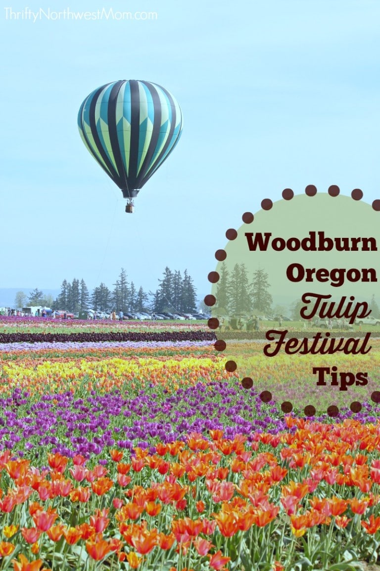 Woodburn Oregon Tulip Festival Tips for Visiting with Kids
