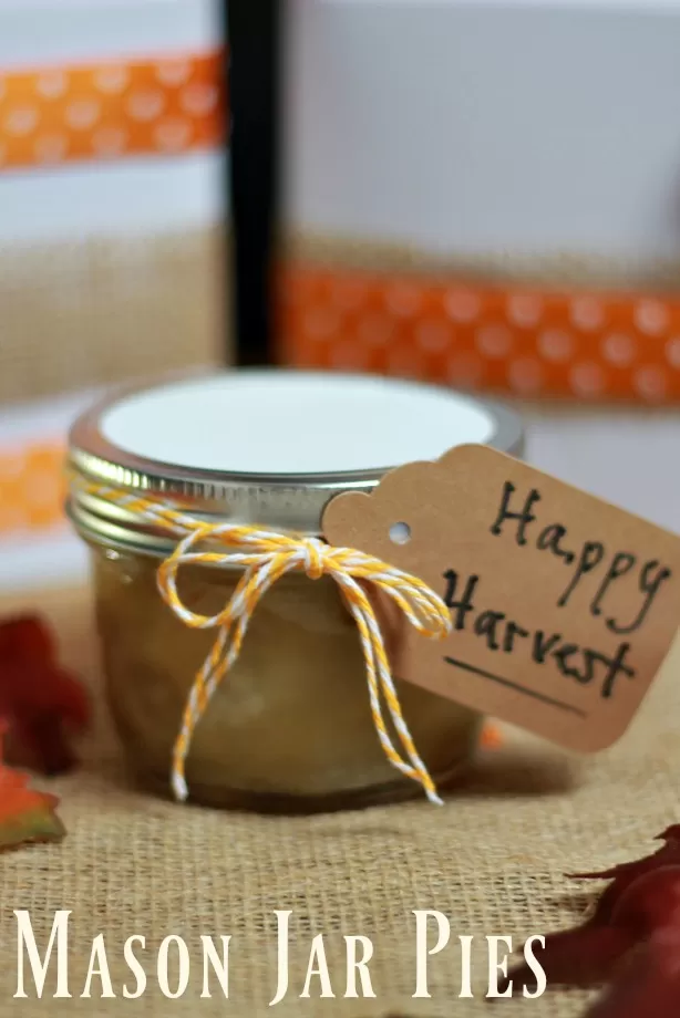 https://www.thriftynorthwestmom.com/wp-content/uploads/2016/10/Mason-Jar-Pies-are-perfect-as-a-homemade-gift-idea-for-the-holidays.webp