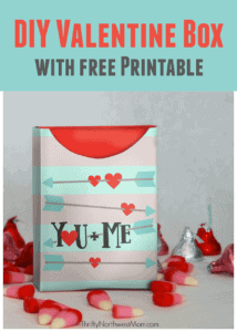 DIY Valentine Box Ideas with Free Printables - Thrifty NW Mom