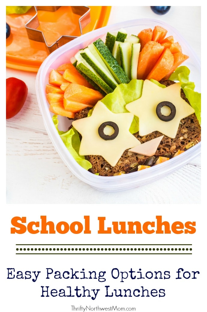 Back To School Lunch, Snack & Breakfast Ideas