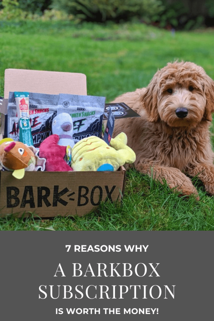 7 Reasons A BarkBox Subscription is Worth the $$