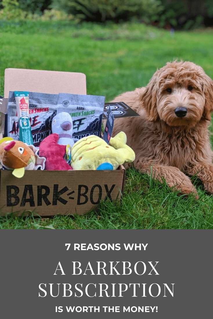 barkbox subscription