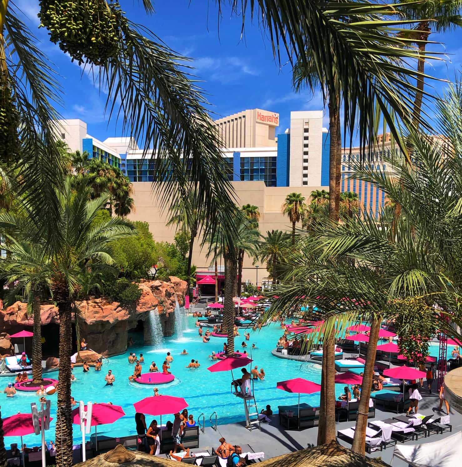 Family Vacation To Las Vegas? What To Expect & Where To Stay - Thrifty 