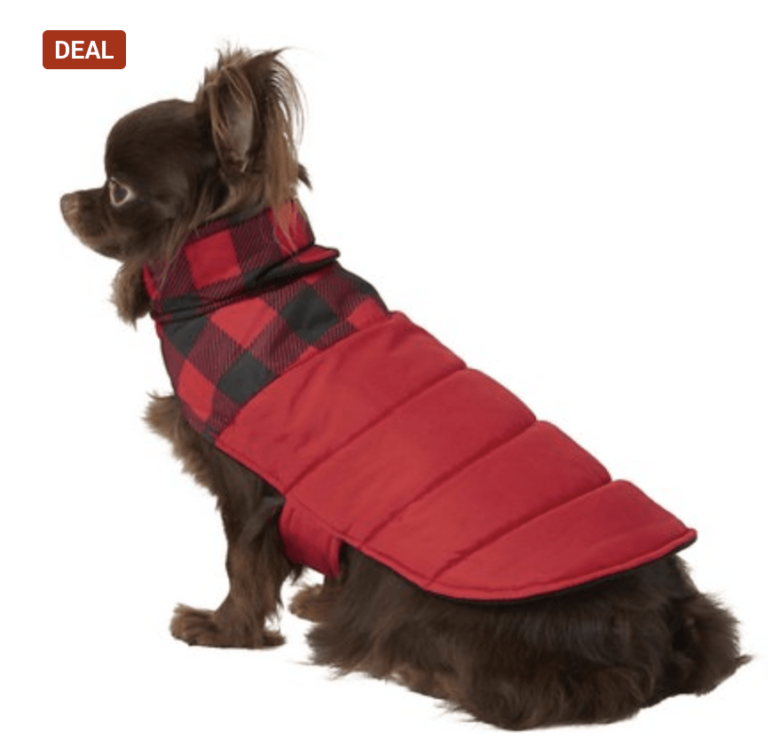 dog coats for sale