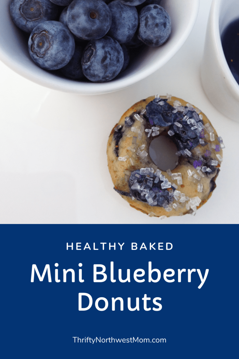 Mini Blueberry Donut Recipe Baked not Fried - Thrifty 