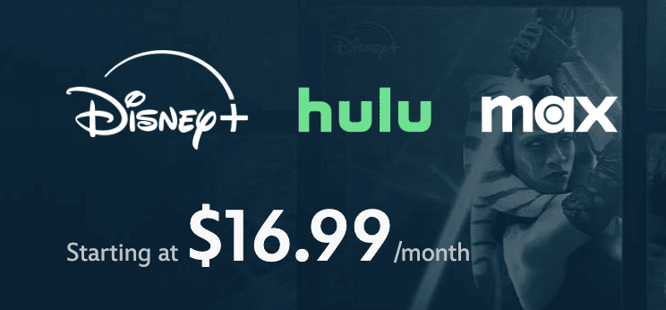 Disney Hulu Max