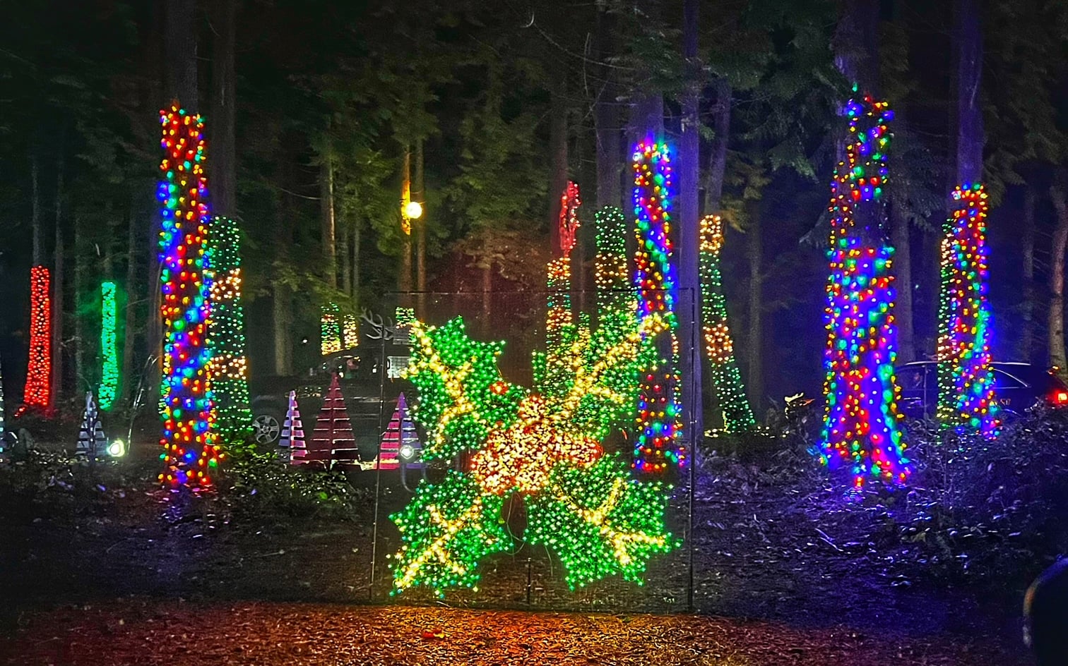 Warm Beach Christmas Lights Drive Thru Christmas Lights The Lights